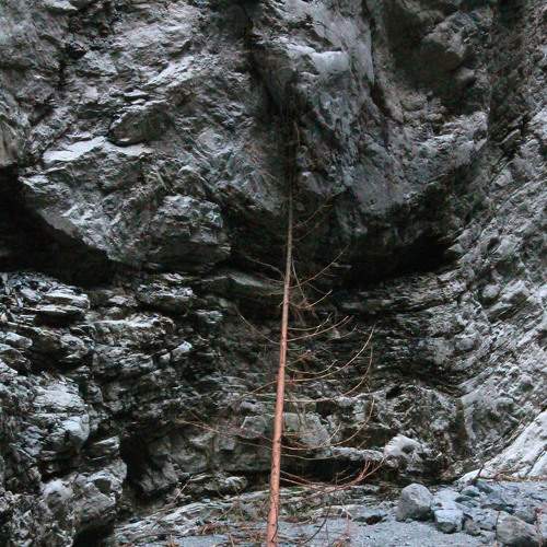 Photo #7254024