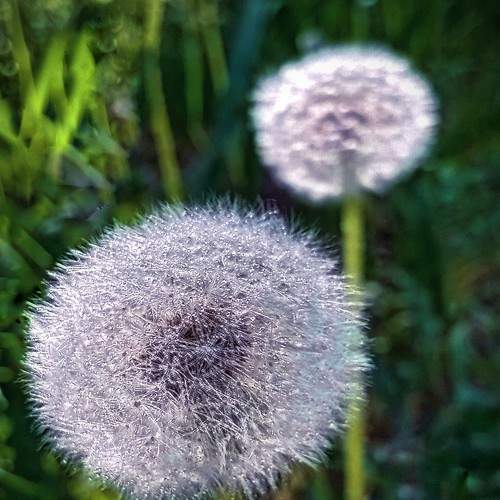 Photo #7254280