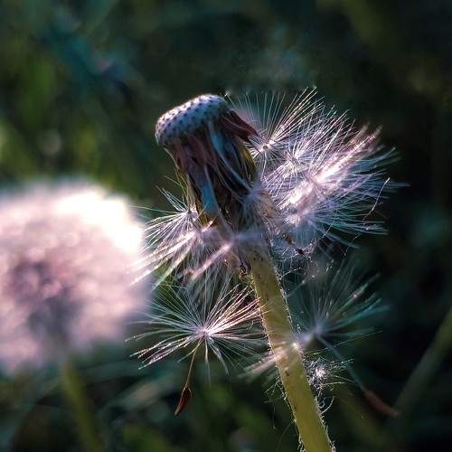 Photo #7254301
