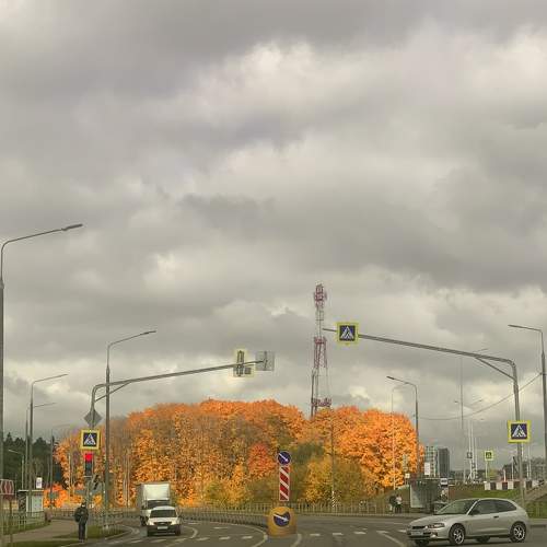 Photo #7254501