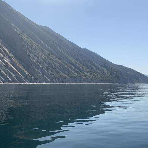 Photo #7254502