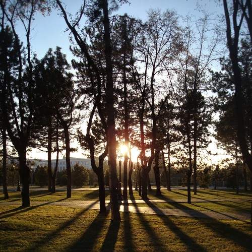 Photo #7254560