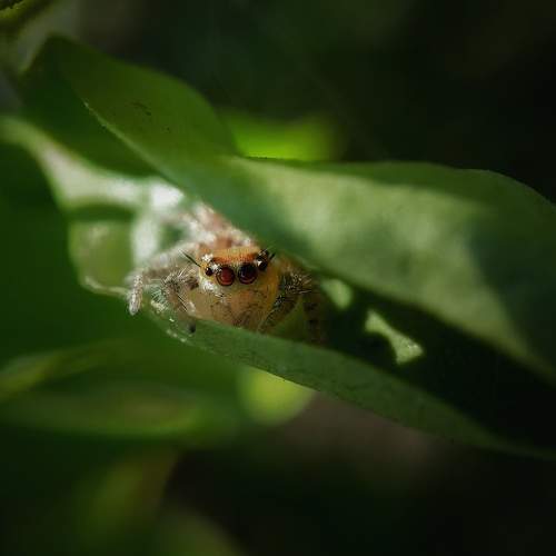 Photo #7254633