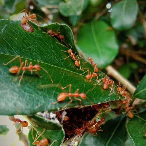 Photo #7254669
