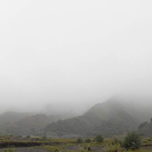 Photo #7254709