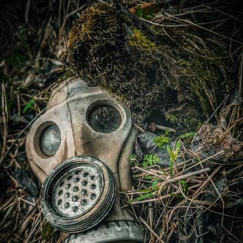 Photo #7254893