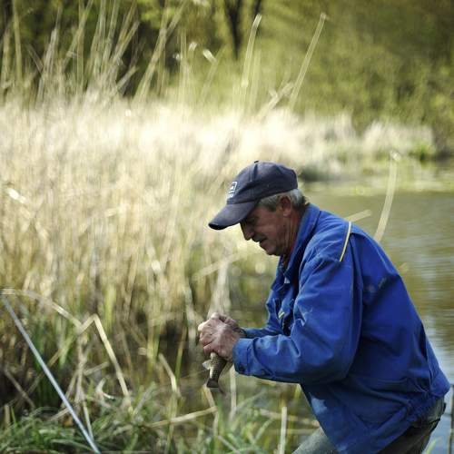 Photo #7255181