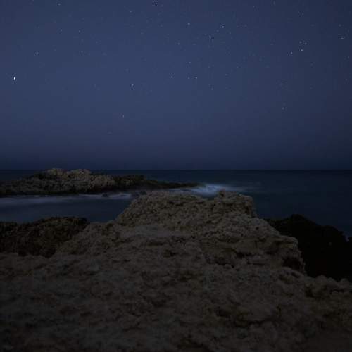 Photo #7255441