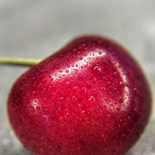 Photo #7255481