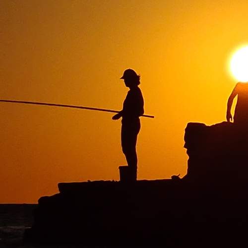 Фотография #7255542