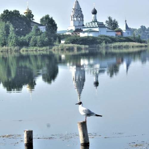 Photo #7255796