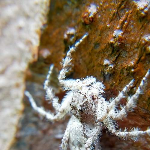 Photo #7255915