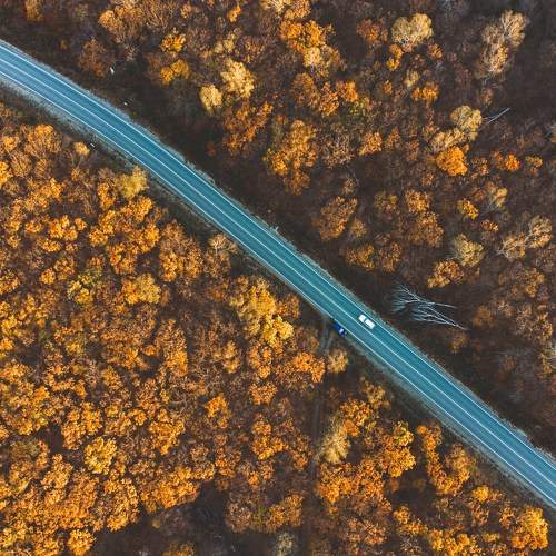 Photo #7255965