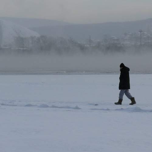 Photo #7256011