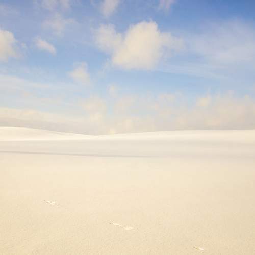 Photo #7256106
