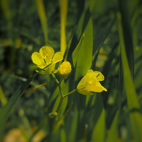 Photo #7256288