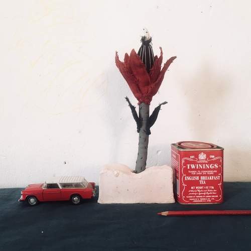 Photo #7256927
