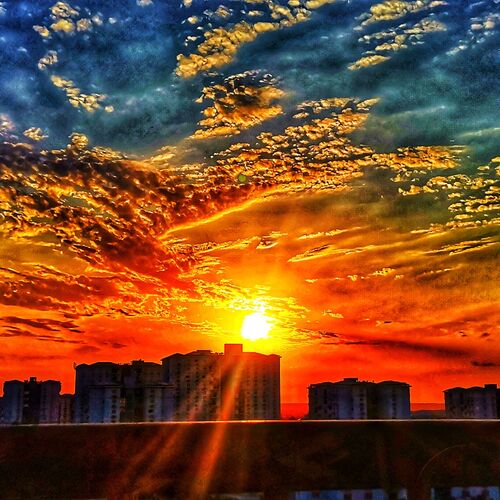 Photo #7257210