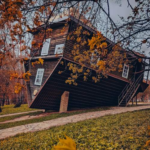 Photo #7257617