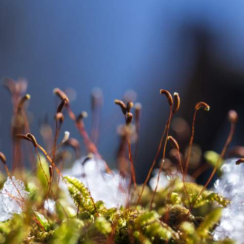 Photo #7257792