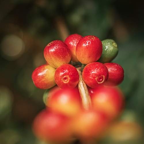 Photo #7257959