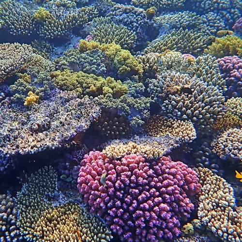 Photo #7257975