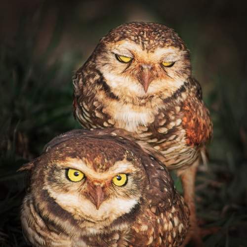 Photo #7257982