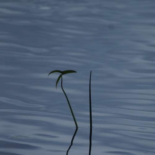Photo #7258217