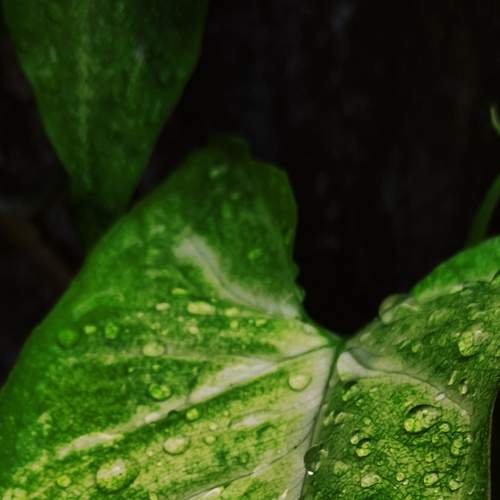 Photo #7258329
