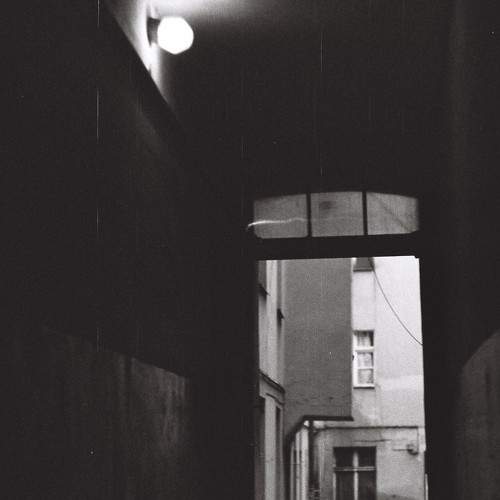 Photo #7258333