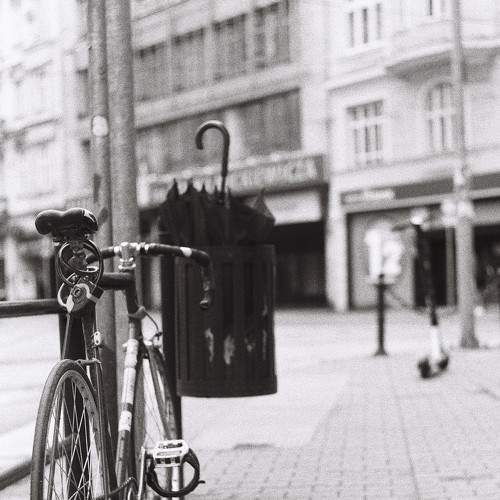 Photo #7258335