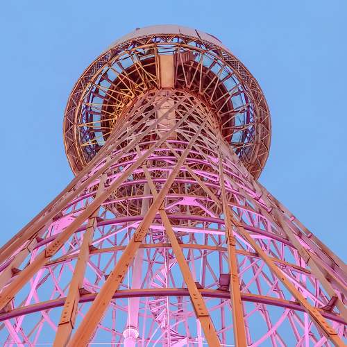 Photo #7258524