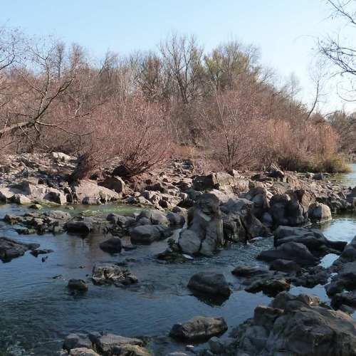 Photo #7258552