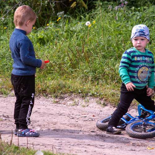 Photo #7258588