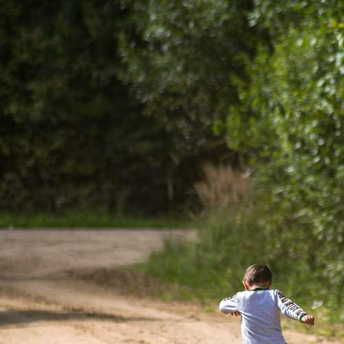 Photo #7258607