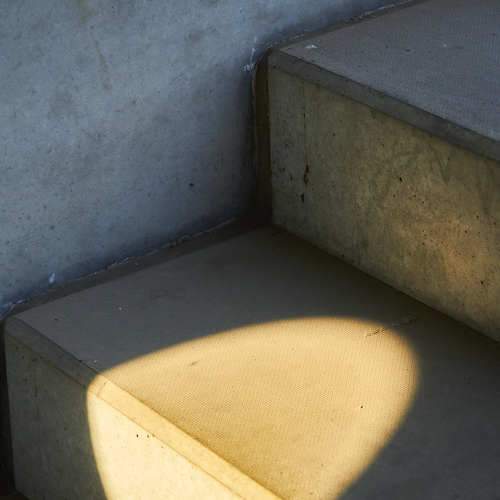 Photo #7258935