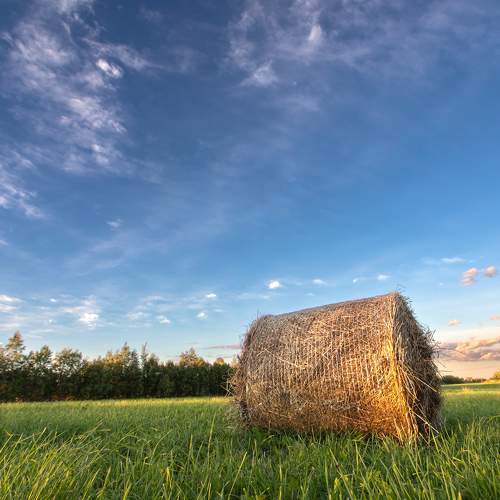 Photo #7258944