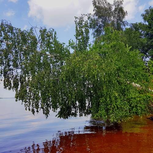 Photo #7259129