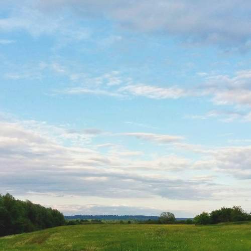 Photo #7259192