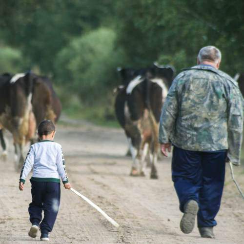 Photo #7259212