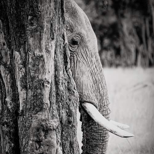 Photo #7259224