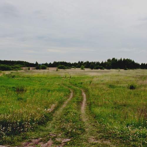 Photo #7259259