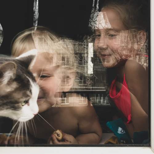 Photo #7259623