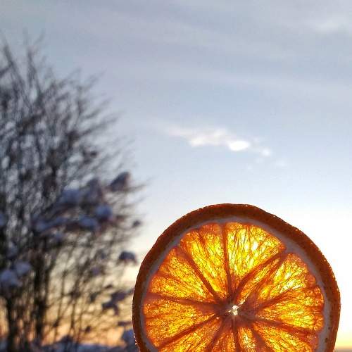 Photo #7259699