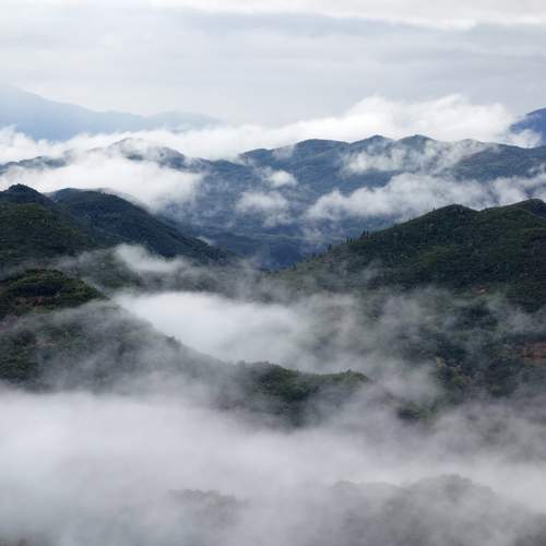 Photo #7259821
