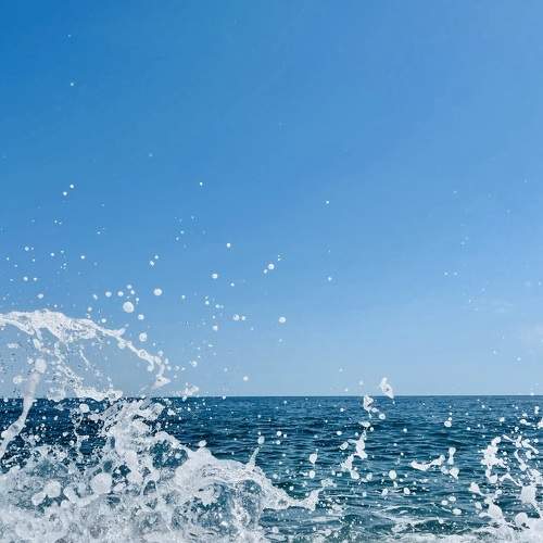 Photo #7259942