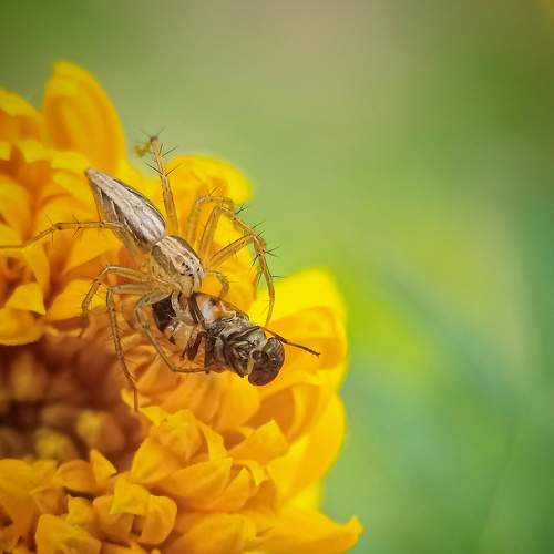 Photo #7259979