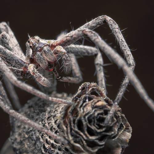 Photo #7260196