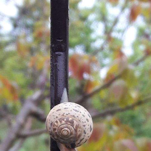 Photo #7260551