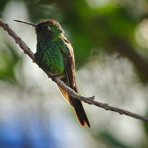 Photo #7260862